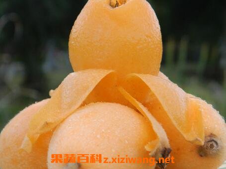 ���˹��ı��淽��