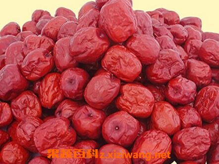 ���ӵ�Ƥ�Ĺ�Ч������