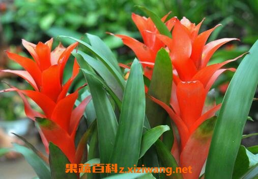 ���滨����ֳ������ע������