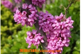 �Ͼ�������ֳ�����Ͳ��溦����
