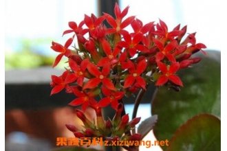 ���پյ���ֳ�������ļ����溦����