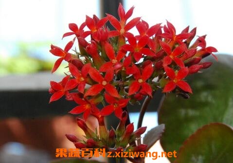 ���پյ���ֳ�������ļ����溦����