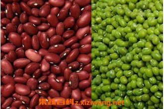 �̶�������Ĳ��Ϻ���������̳�