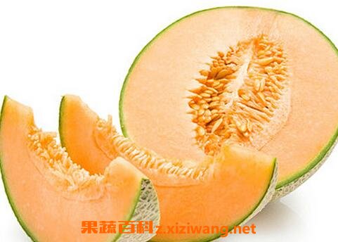 ���ܹϵĹ�Ч������