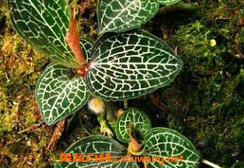  ��Ǯ���Ĺ�Ч������