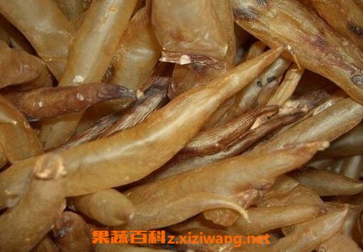 ���㽺�Ĺ�Ч������