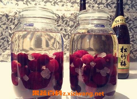 ��÷�ƵĹ�Ч������ ��÷�Ƶ�ҩ�ü�ֵ
