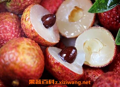 ��֦�Ĺ�Ч������ ��֦��ҩ�ü�ֵ
