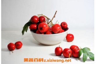 ɽ髵Ĺ�Ч������ ɽ髵�ҩ