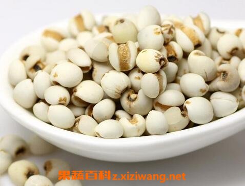 ޲�׵Ĺ�Ч������ ޲�׵�ҩ�ü�ֵ