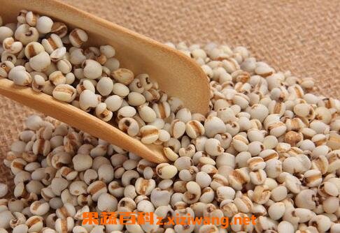 ޲�׵Ĺ�Ч������ ޲�׵�ҩ�ü�ֵ