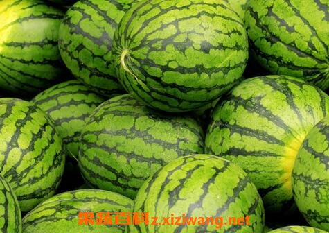 ���ϵĹ�Ч������ ���ϵ�ҩ�ü�ֵ