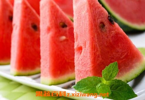 ���ϵĹ�Ч������ ���ϵ�ҩ�ü�ֵ
