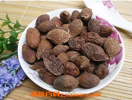 �ִ󺣵Ĺ�Ч������ �ִ󺣵�ҩ�ü�ֵ