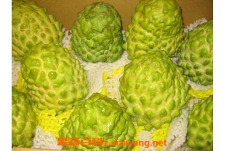 ���չ���ô�� ���չ��ĳԷ�����