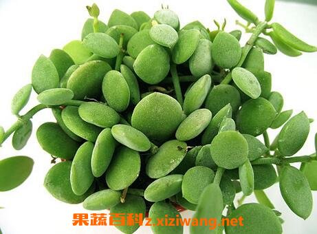 ��Ǯ����ô�� ��Ǯ�ٵ���ֳ����