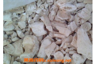 �����ĿݲݵĹ�Ч��ҩ�ü�ֵ