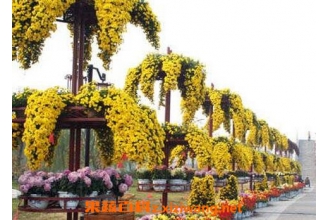 ���¾յ�������ҩ�ü�ֵ