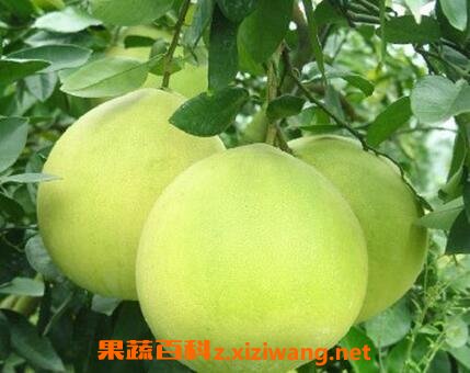 ���ֵĹ�Ч������