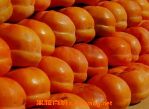 �������ӵĹ�Ч������