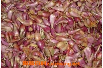 С���ͷ�ݵĹ�Ч������