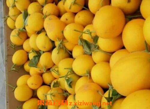 ����ϵĹ�Ч��Ӫ����ֵ