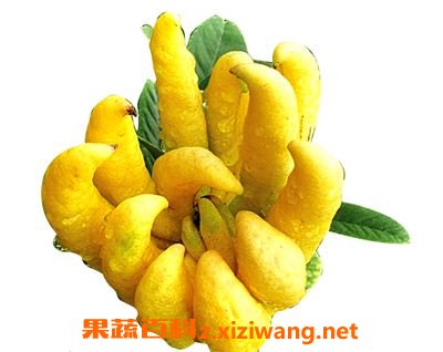 ���ֹ���