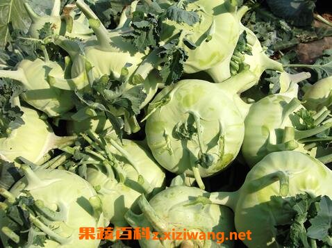 ������Ӫ����ֵ�빦Ч����
