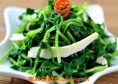 �㶹���Ӫ����ֵ�빦Ч