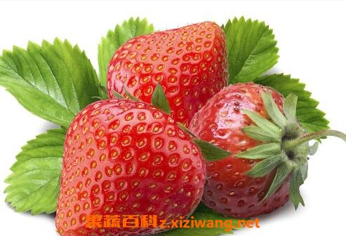 ��ݮ�ĺô��͹�Ч����Щ