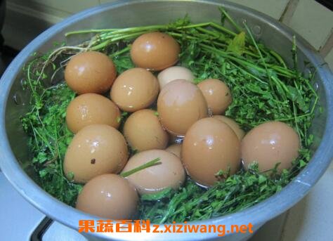 ��Ҷ�󼦵�������