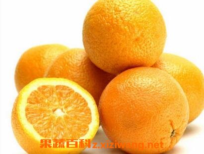 �Գ�����ʲô�ô�