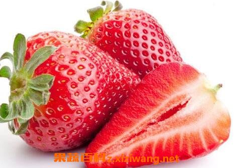 ��ݮ��ô���� ��ݮ���ʼ����淽��