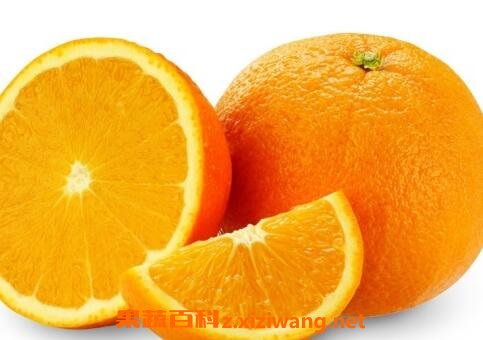 �и��Գ�����ʲô�ô�