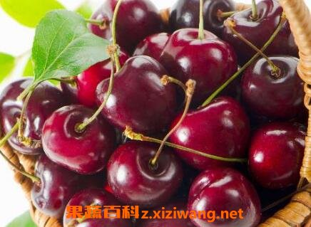 �����ӵ�Ӫ����ֵ����Щ