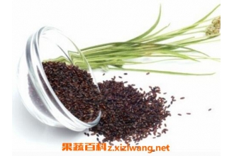 ��ǰ�ӵ�ҩ�ü�ֵ�븱����