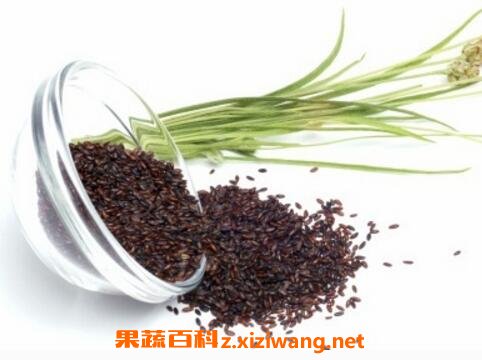 ��ǰ�ӵ�ҩ�ü�ֵ�븱����