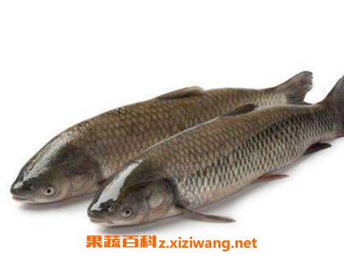 �����Ӫ����ֵ����Ч