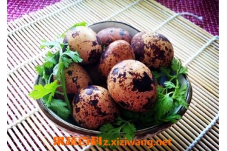 ���ȵ���Ӫ����ֵ �����ȵ��ĺô�