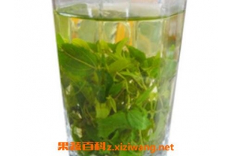 ɽ��Ҷ��Ĺ�Ч������