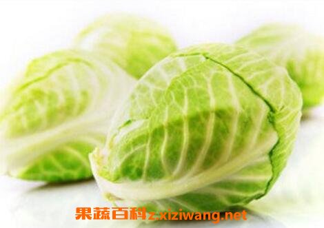 ���Ĳ˵�Ӫ����ֵ�빦Ч
