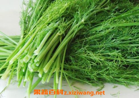 С����˵Ĺ�Ч������