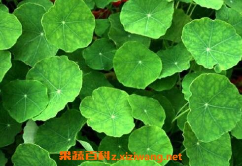 ��յ�ݵĹ�Ч������