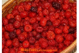 ���ֹ��Ĺ�Ч������