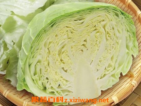 �����˵Ĺ�Ч��Ӫ����ֵ
