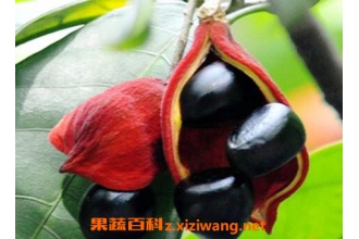 Ƶ�Ź��Ĺ�Ч������