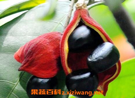 Ƶ�Ź��Ĺ�Ч������
