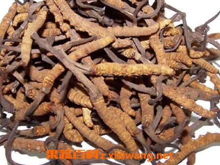 �����Ĳݱ��淽���ͼ���