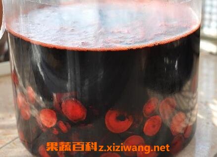 �ϲ��͵������빦Ч