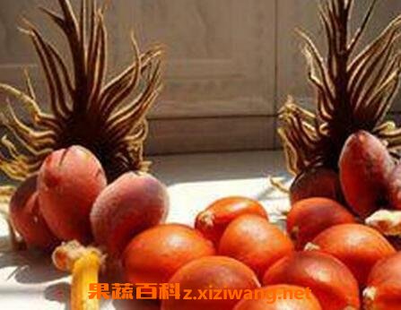 �������������빦Ч